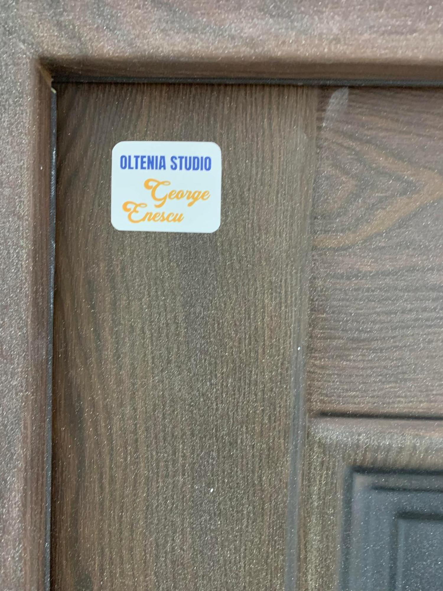 Oltenia Studio George Enescu 克拉奥华 外观 照片